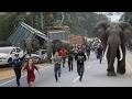 Real Encounters With Nature’s Most Powerful Creatures That Will Leave You Speechless