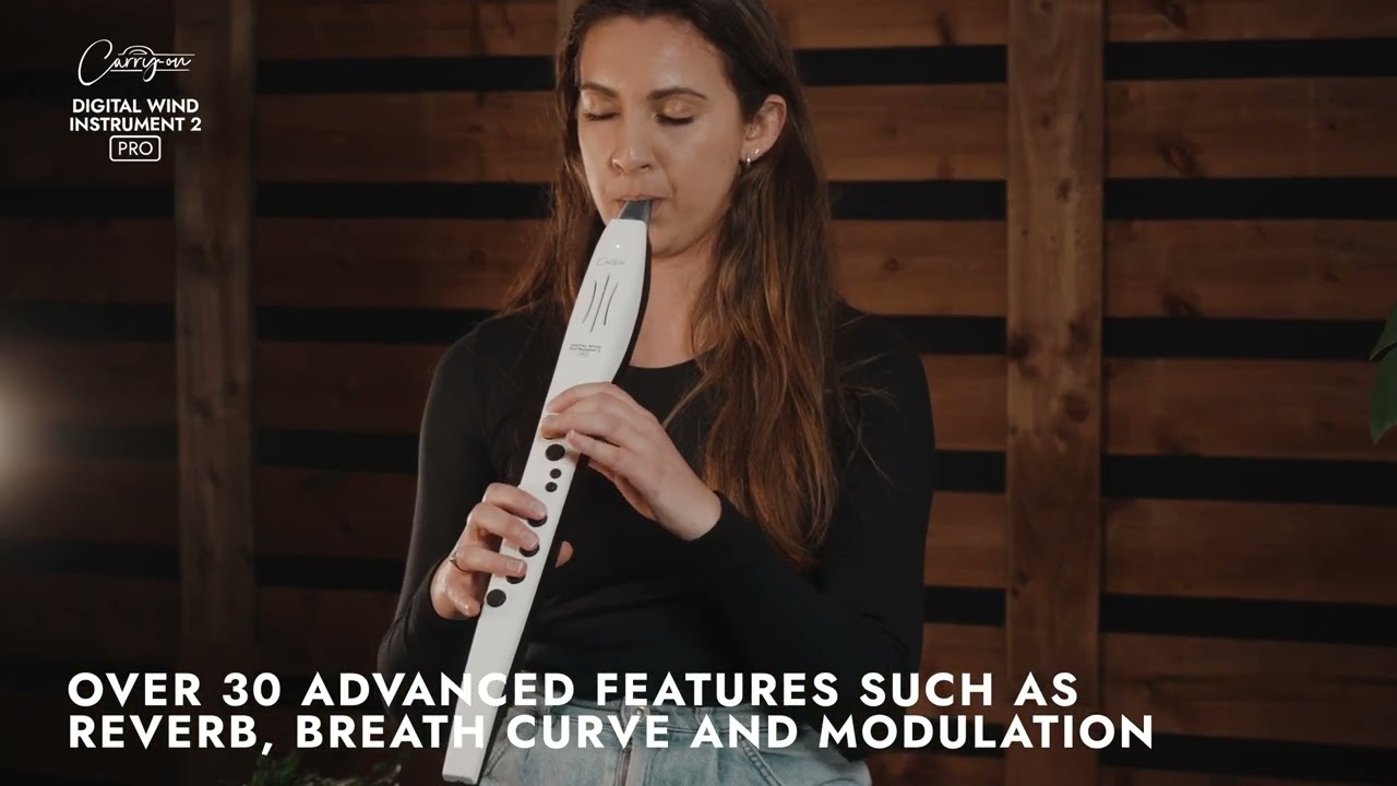 Carry-on Digital Wind Instrument Pro - City Music - Singapore #1