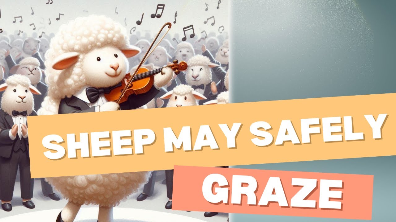 Sheep May Safely Graze | J.S. Bach | One Woman Orchestra - YouTube