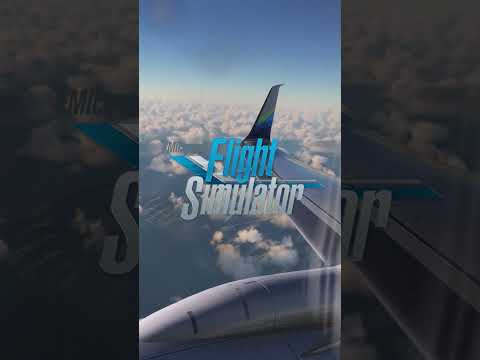 Flight Sim vs. Real Life - (Quiz)