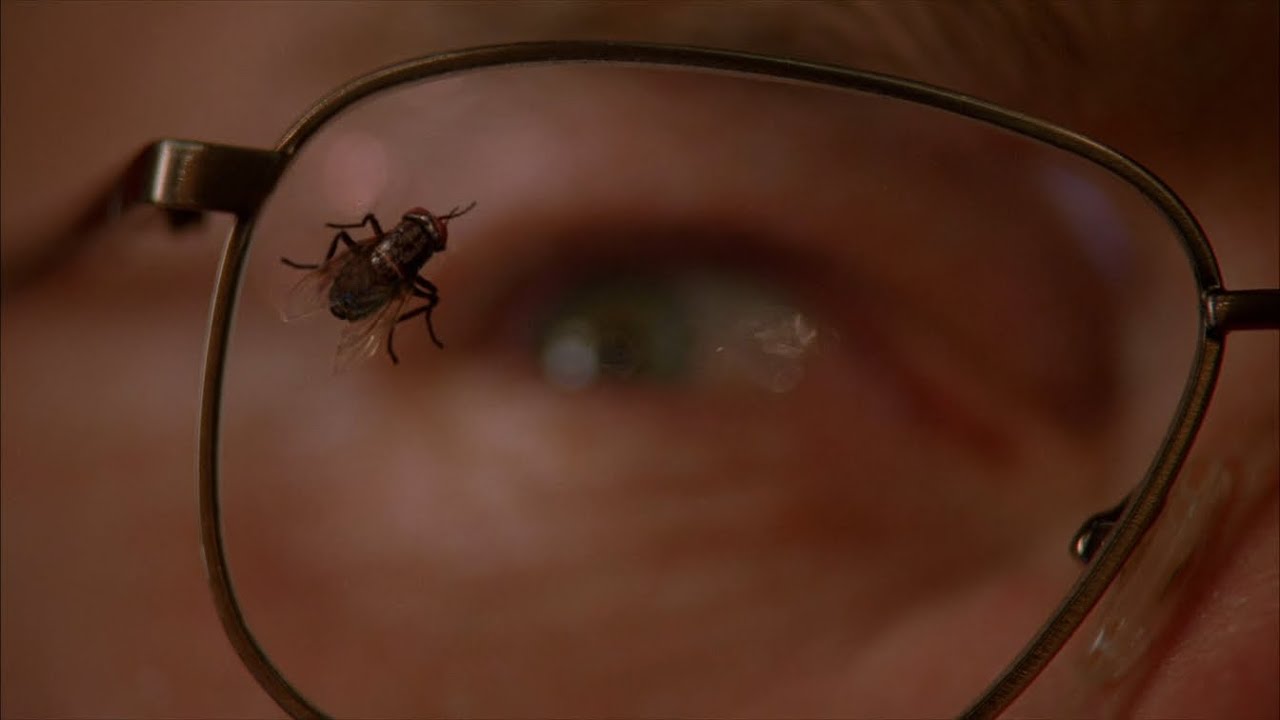 Walter White vs The Fly | Breaking Bad [1080p]