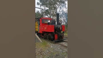 Fowler 0-4-0 at Steam Scene - August 2022