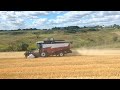 Уборка яровой пшеницы, Акрос 595plus