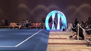 Vegas Acro Cup 2019 Level 9 Trio