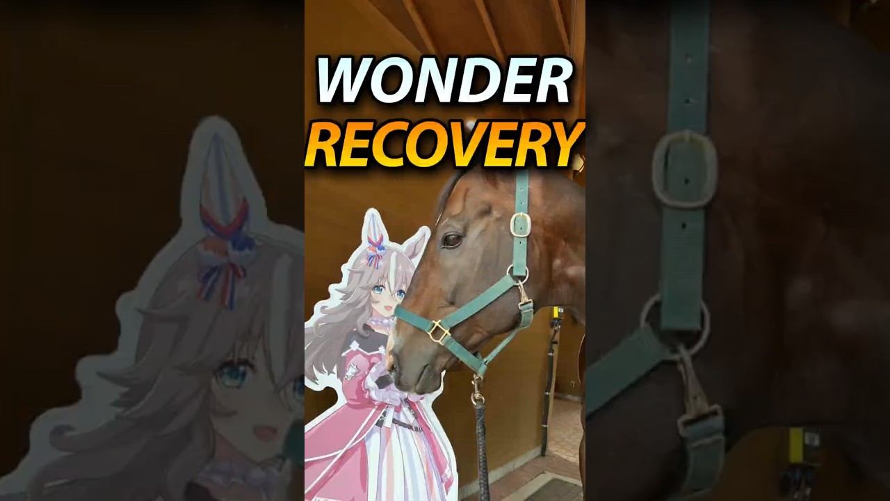 From Surgery to Grazing—Wonder Acute Is Healing 💖