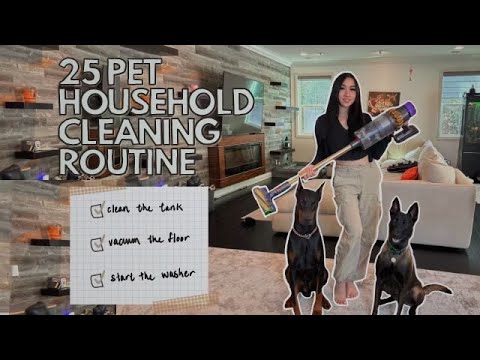 25 PET HOUSEHOLD DAILY CLEANING ROUTINE - YouTube