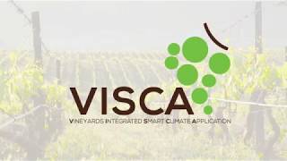 VISCA: Vineyards´ Integrated Smart Climate Application