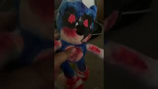 Sonic EXC custom
