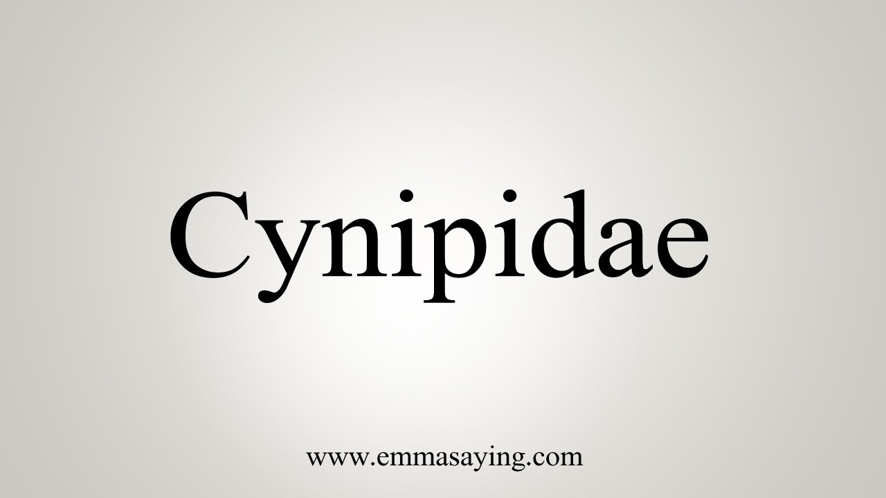How To Say Cynipidae