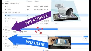 WD PURPLE vs WD BLUE . Test Drive