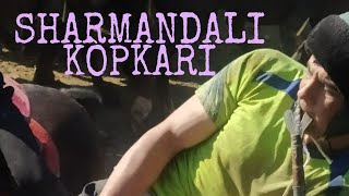 SHOVSHULI KÒPKARI BÒLDIYU LEKIN SHARMANDA QILDI SHOVSHULI KÒPKARI BÒLDIYU LEKIN SHARMANDA QILDI