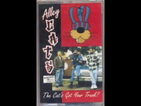 camera iphone 8 plus apk Alley Cats - dear convits 1995