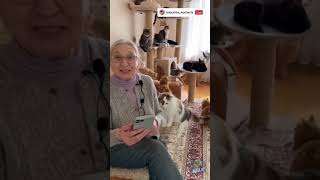 Бабушка-блогер ведёт стрим с котами 🐱💬 нейровидео от SORA #AI #shorts