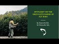 Spotlight on the Greys Kite Fly Rod Ranges