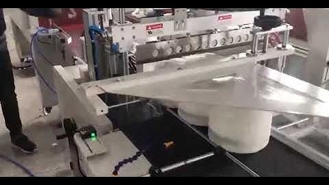Automatic maxi roll bobbin tissue paper shrink packing machine toilet paper roll heating tunnel