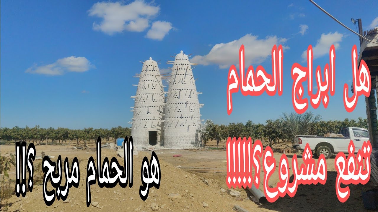 هل ابراج الحمام تنفع مشروع و هو اصلا تربيه الحمام مربحه شوف الجواب مع ابو مازن الفخراني01010558690