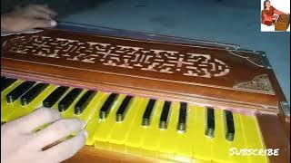 Ham Yaar Hain Tumhare || instrumental by NSD Harmonium || please use 🎧🎧