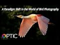 Optic 2016: A Paradigm Shift in the World of Bird Photography