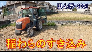 稲刈り後の稲わらすき込み　住宅地の田んぼ・2021　20200830