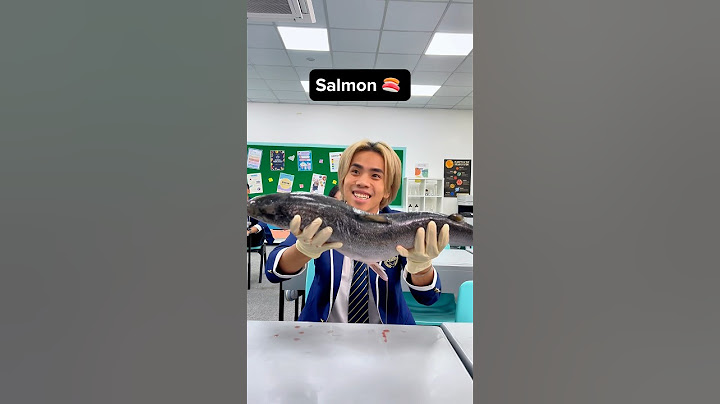 What to do when your teacher says the classroom sounds like a fish market 😬