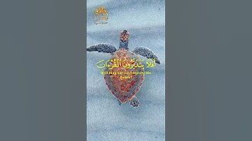 🌹تلاوة هادئة بصوت عذب وقمة في الروعة وغاية في الجمال بصوت القارئ رزكار الكردي🌹