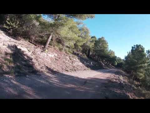 Chasse sanglier dans l’aude 11