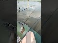 Дальше пошел крупняк!)