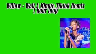 Willow - Wait A Minute (Tiktok Remix) - 1 hour music loop