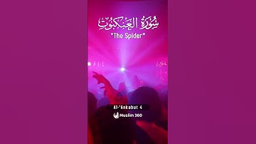 Surah Al-Ankabu 4 | Urdu-Hindi Audio Translation | سورة العنكبوت | #surah #islamdaily #quran