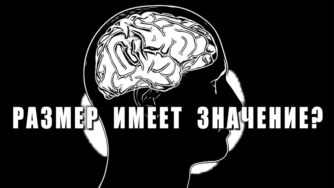 Влияет ли размер мозга на интеллект. Картинка про мозги вы потеряли. IQ Box Brain. Голодный мозг