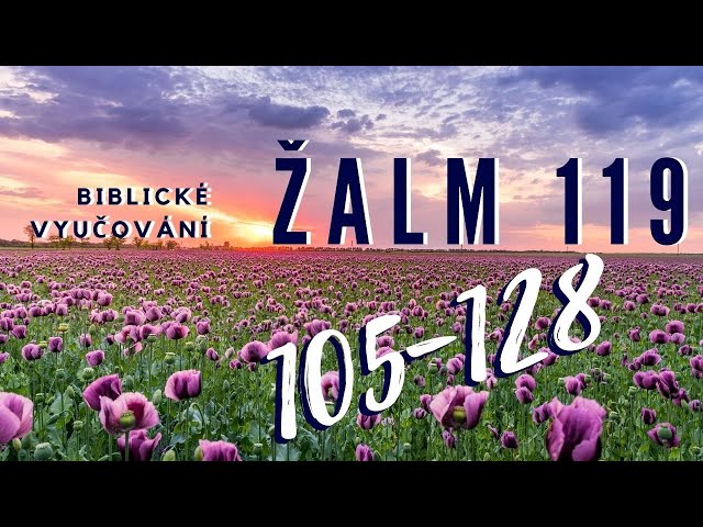 Biblické vyučování - Žalm 119