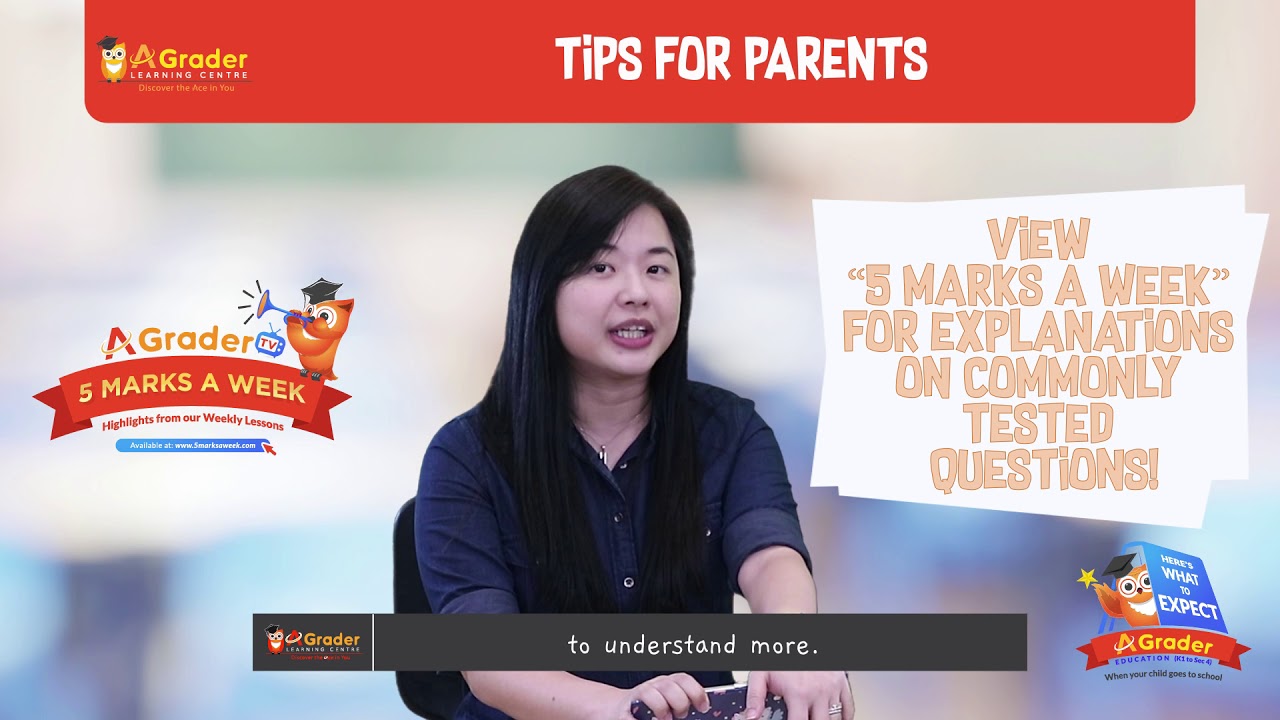 Primary 3 Mathematics - Here's What to Expect – January