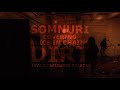 Somnuri  alice in chains dirt cover  live at seizures palace