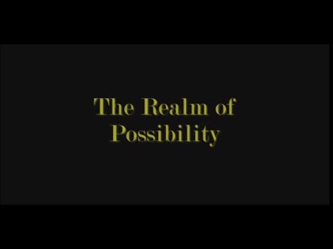 The Realm of Possibility - Spencer C. Young