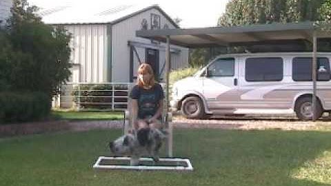 "Gilley"  Stage 1 Running Aframe 