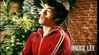 Bruce lee the student 2019 -