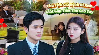 CHỦ TỊCH GIẢ BỆNH ĐI XEM MẮT GẶP TIỂU THƯ CAO TAY VÀ CÁI KẾT | PHIM GÃY SCHOOL