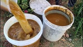 Jaydam Liquid Fertilizers Recipes That Your Garden Need || 3 jaydam Fertilizers Recipes