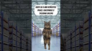Jak tam? Zaczynacie urop czy już po? 🤪#memy #humor #praca #januszex #urlop