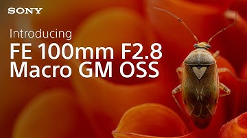 Introducing the Sony FE 100mm F2.8 Macro GM OSS | Full-Frame Macro Lens