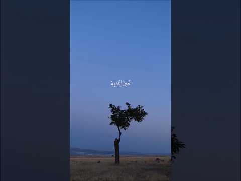 دعاء الافتتاح حسين غريب حالات واتس ستوريات حسينية ستوريات حسينيه ادعية
