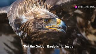 Mexico's National Animal: The Golden Eagle