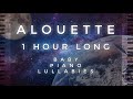 &quot;Alouette&quot; 1 Hour Long by Baby Piano Lullabies!!