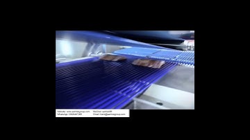 Bacon Production Line #Automatic Slicer #Automation Equipment #Belt Conveyor Line