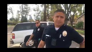 BEST OF FURRY POTATO!