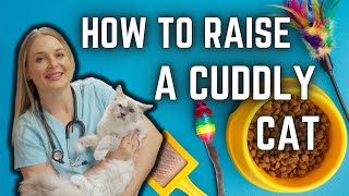 How to Raise a Cuddly Cat!? | Dr. Lindsay Butzer's methods! by Doctor Lindsay Butzer DVM 2,835 views 2 months ago 11 minutes, 17 seconds