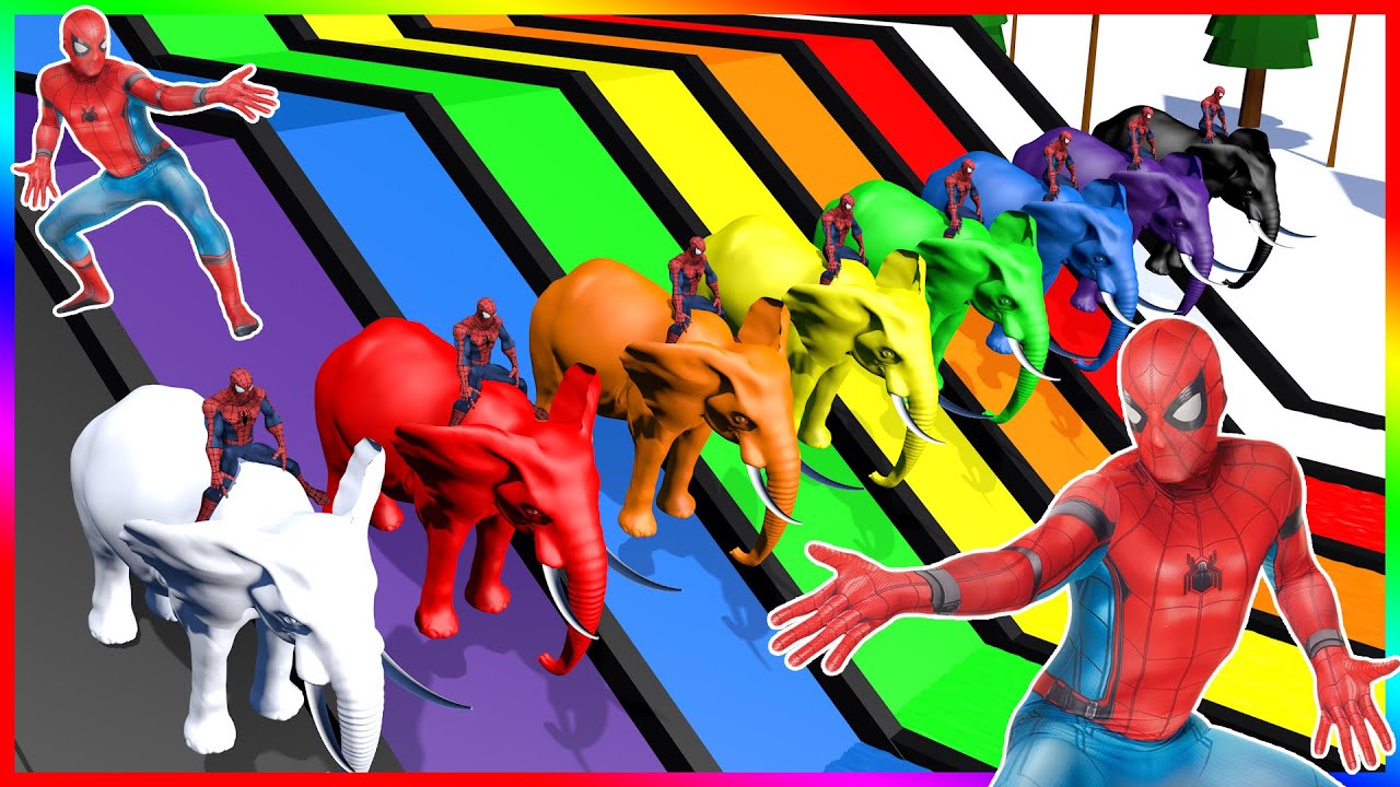 Apprendre Les Couleurs Avec Spiderman Animation Amusante Pour Les Enfants Youtube