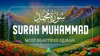 Surah Muhammad (سورة محمد) | Ultimate Soul-Soothing Tilawat for Peace & Reflection | Tariq Muhammad