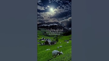 أكتب شيء تؤجر عليه 🌹🌹 عليه#تابعني#تلاوة_خاشعة_تلاوة_هادئة