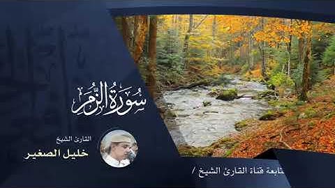 الشيخ خليل الصغير اليمني.       سورة الزمر